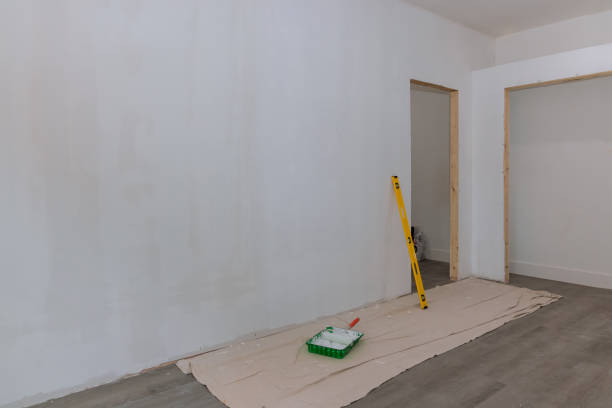 Best Water-Damaged Drywall Repair  in Verona Walk, FL